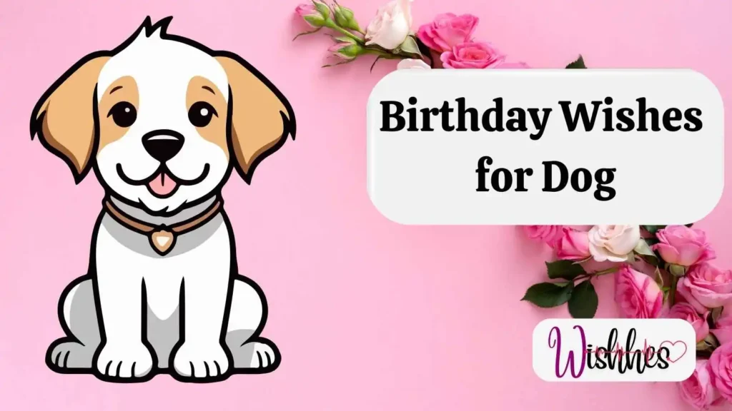 Birthday Wishes for Dog