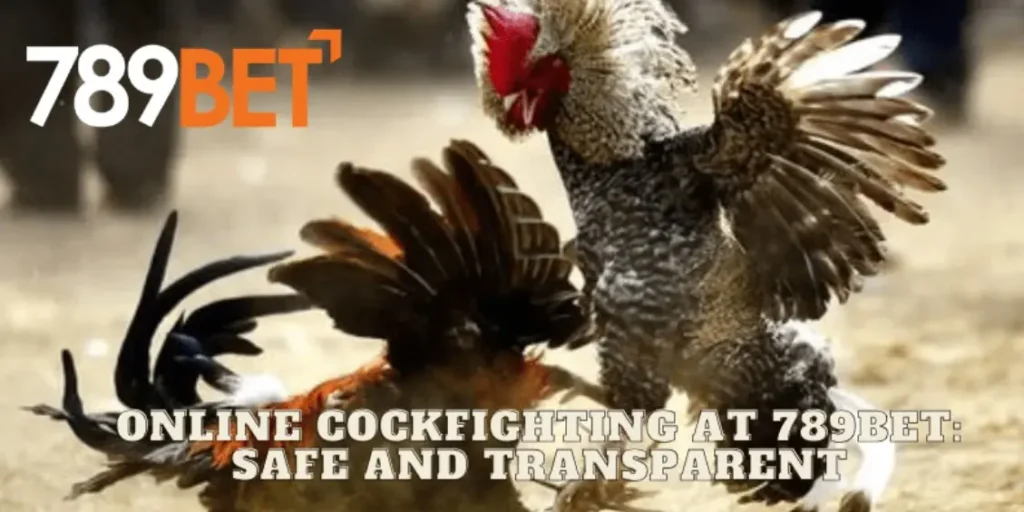 Live Cockfighting Streaming on 789bet Real-Time Thrills at Your Fingertips