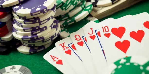 OK365 Bookmaker provides a secure and modern betting platform