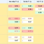 Understanding Tỷ Lệ Kèo A Comprehensive Guide to Betting Odds and Match Analysis