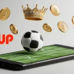 Complete PinUp App India Review Features, Usability & User Experience Explained