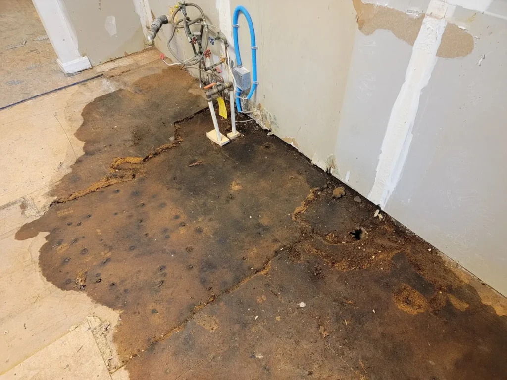 How Do You Know If You Have a Hidden Water Leak