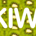 Lease or Buy: What’s Smarter for Kiwi Drivers?